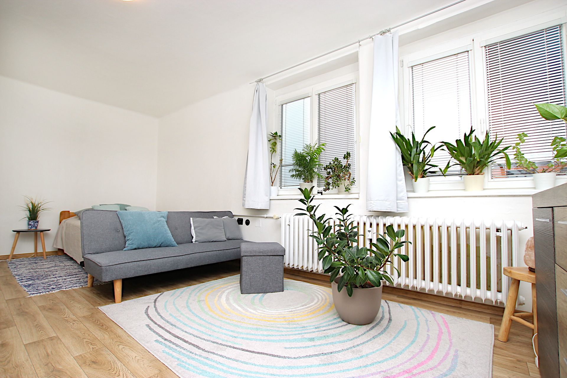 Prodej bytu 1+1, 63 m², Praha 3 - Žižkov