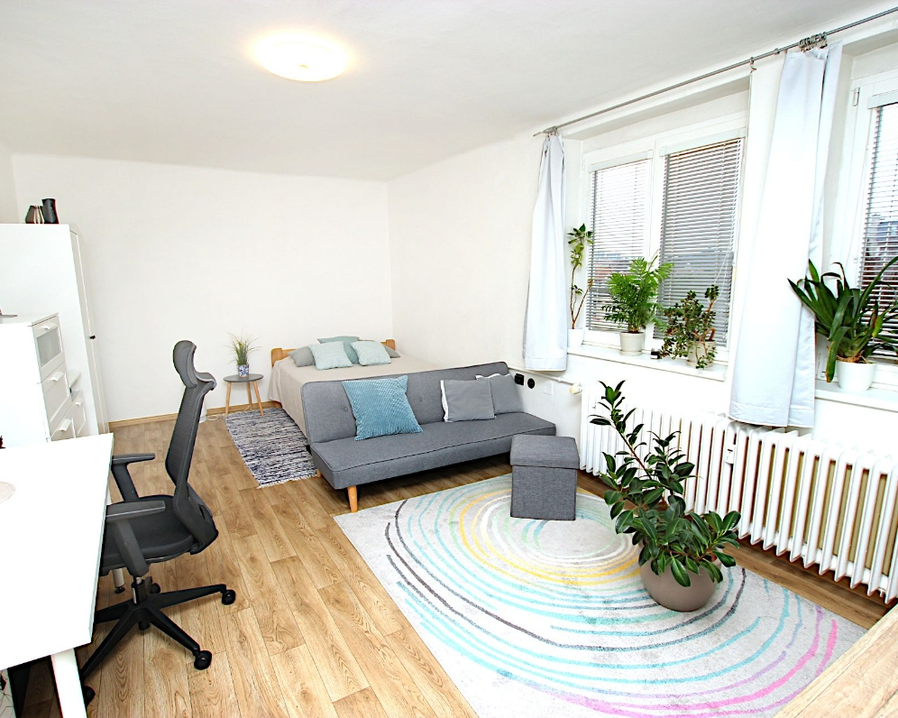 Prodej bytu 1+1, 63 m², Praha 3 - Žižkov